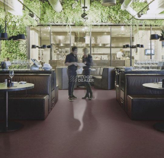 Forbo Marmoleum Decibel on Order 335335 eggplant purple фото 2 | FLOORDEALER